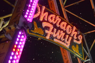 DSC_7812 (Large).JPG